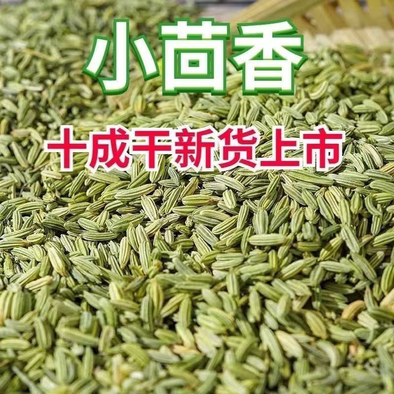 新货小茴香颗粒调药用小茴香中药材调料种籽