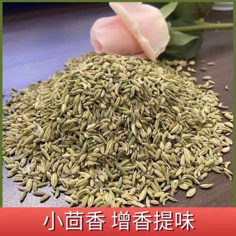 新货小茴香颗粒调药用小茴香中药材调料种籽