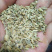 新货小茴香颗粒调药用小茴香中药材调料种籽