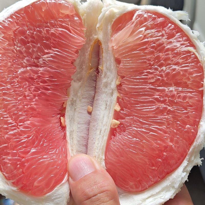 平和红柚大量上市价格便宜