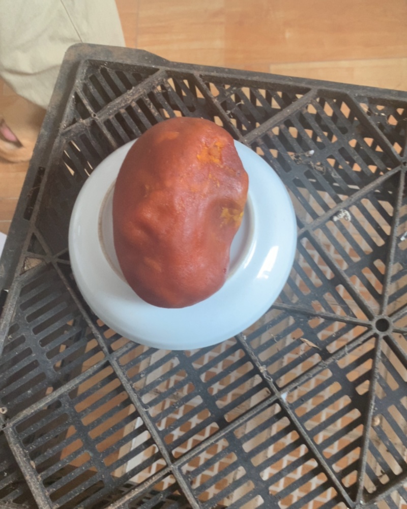 鸡宝