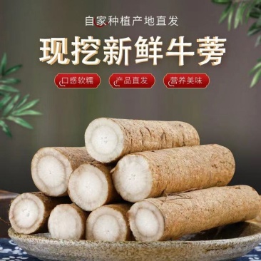 新鲜牛蒡根农场榨汁蔬菜药食同源牛蒡牛蒡根干片