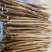 新鲜牛蒡根农场榨汁蔬菜药食同源牛蒡牛蒡根干片