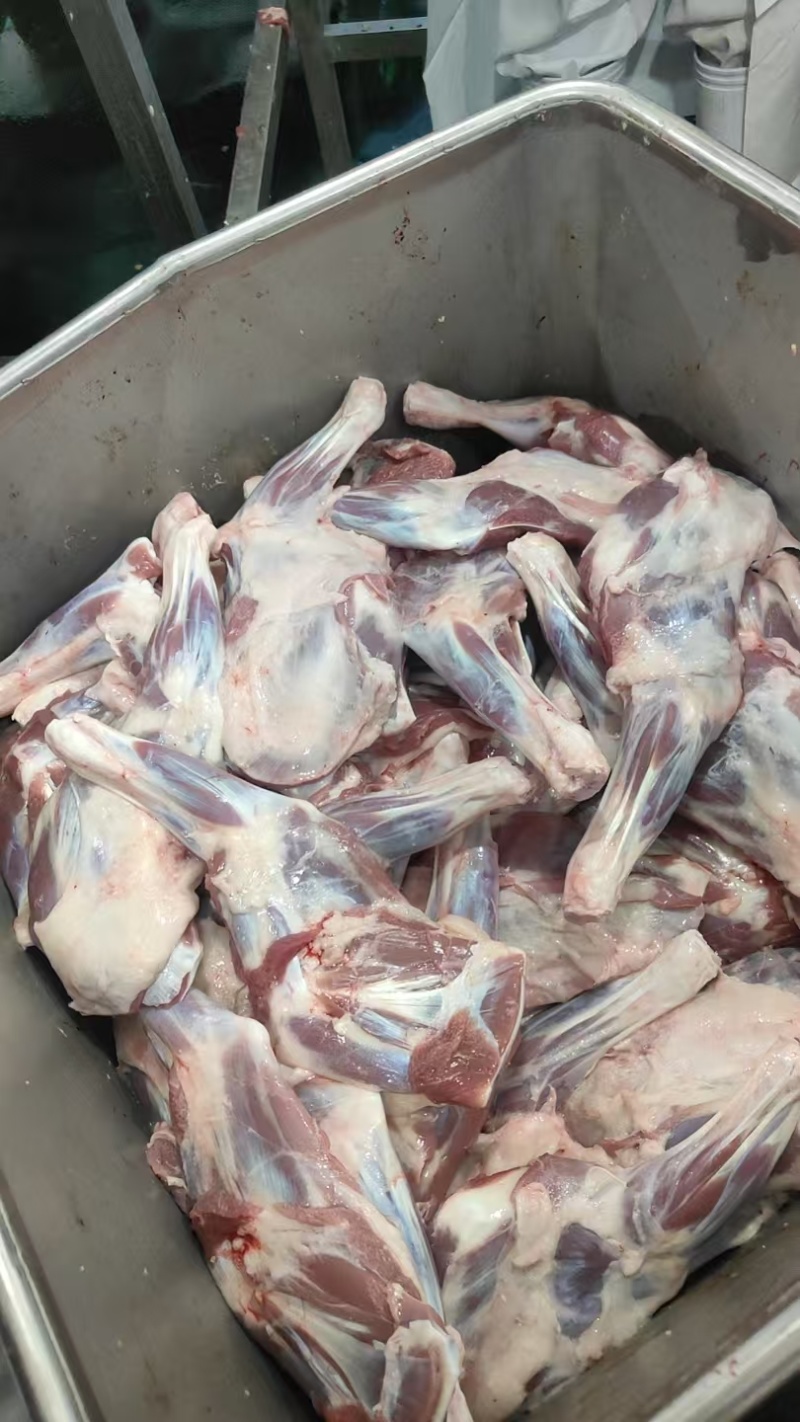 【羔羊带骨前腿】草地羊的标准件19斤，烧烤必备！鲜嫩可口