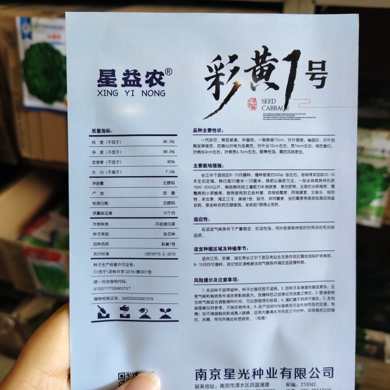 一代杂交黄心菜种子彩黄1号