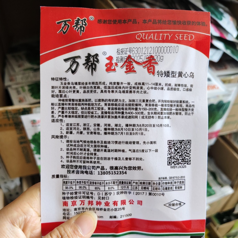万帮玉金香黄心乌种子黄心菜种子黄心乌塌菜种子耐寒