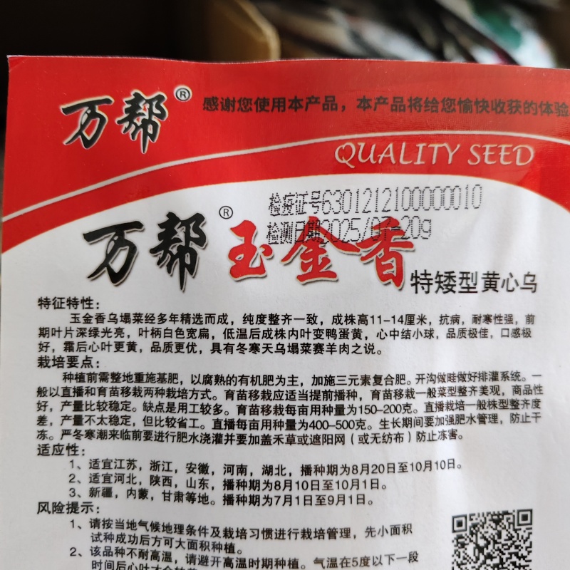 万帮玉金香黄心乌种子黄心菜种子黄心乌塌菜种子耐寒