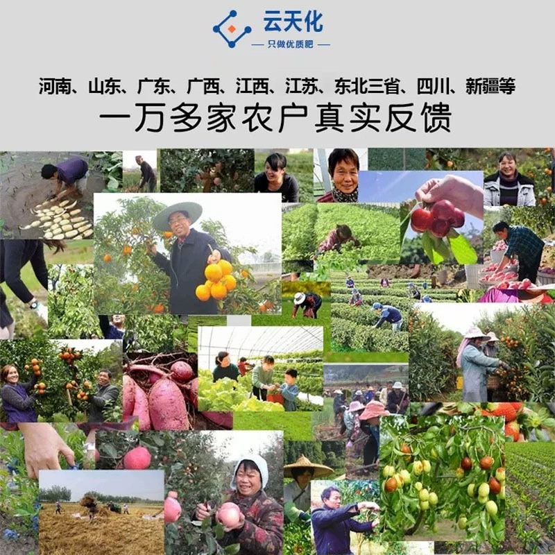 正品云天化磷酸二氢钾高纯度飞防农用叶面肥瓜果疏菜通用