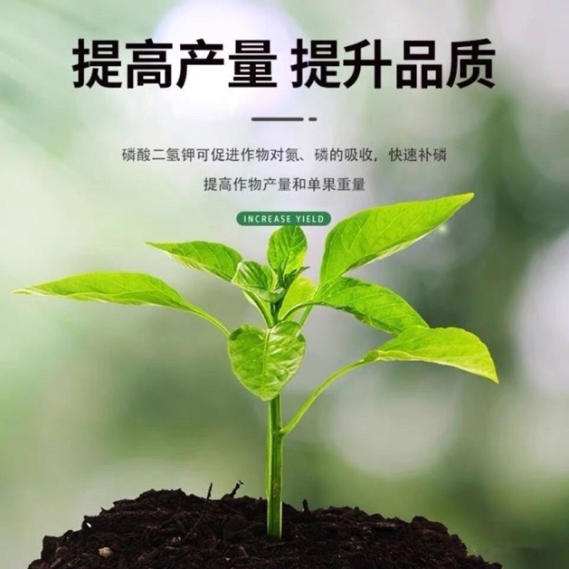 九河磷酸二氢钾农用叶面肥瓜果蔬菜通用肥25公里包邮