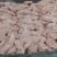 老鸡小胸