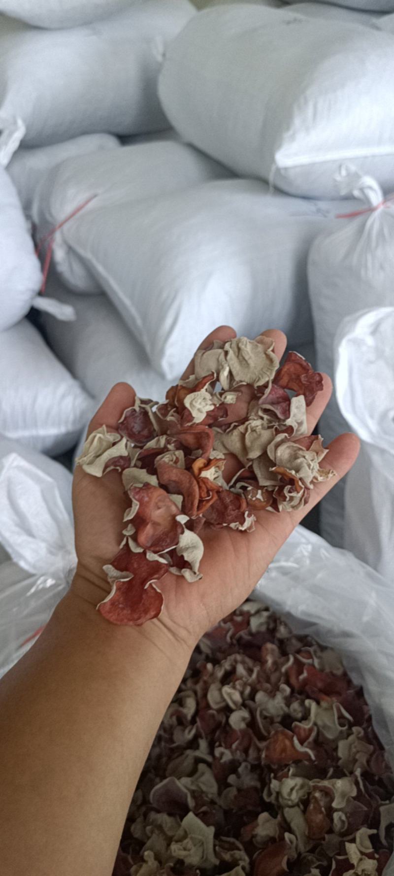 粉木耳