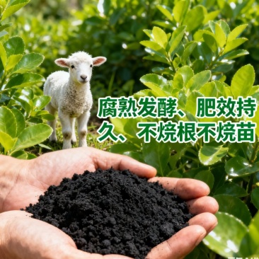 发酵腐熟羊粪有机肥/底肥肥料/瓜果蔬菜花卉药材大田作物