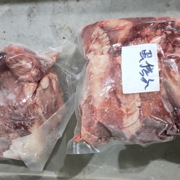 蛋信子（蓝闲子）