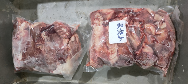 蛋信子（蓝闲子）