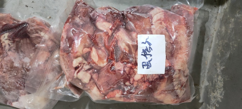 蛋信子（蓝闲子）