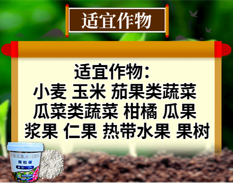 奥丰颗粒硼小投入增产肥提高授粉坐果率底肥追肥撒施提产量
