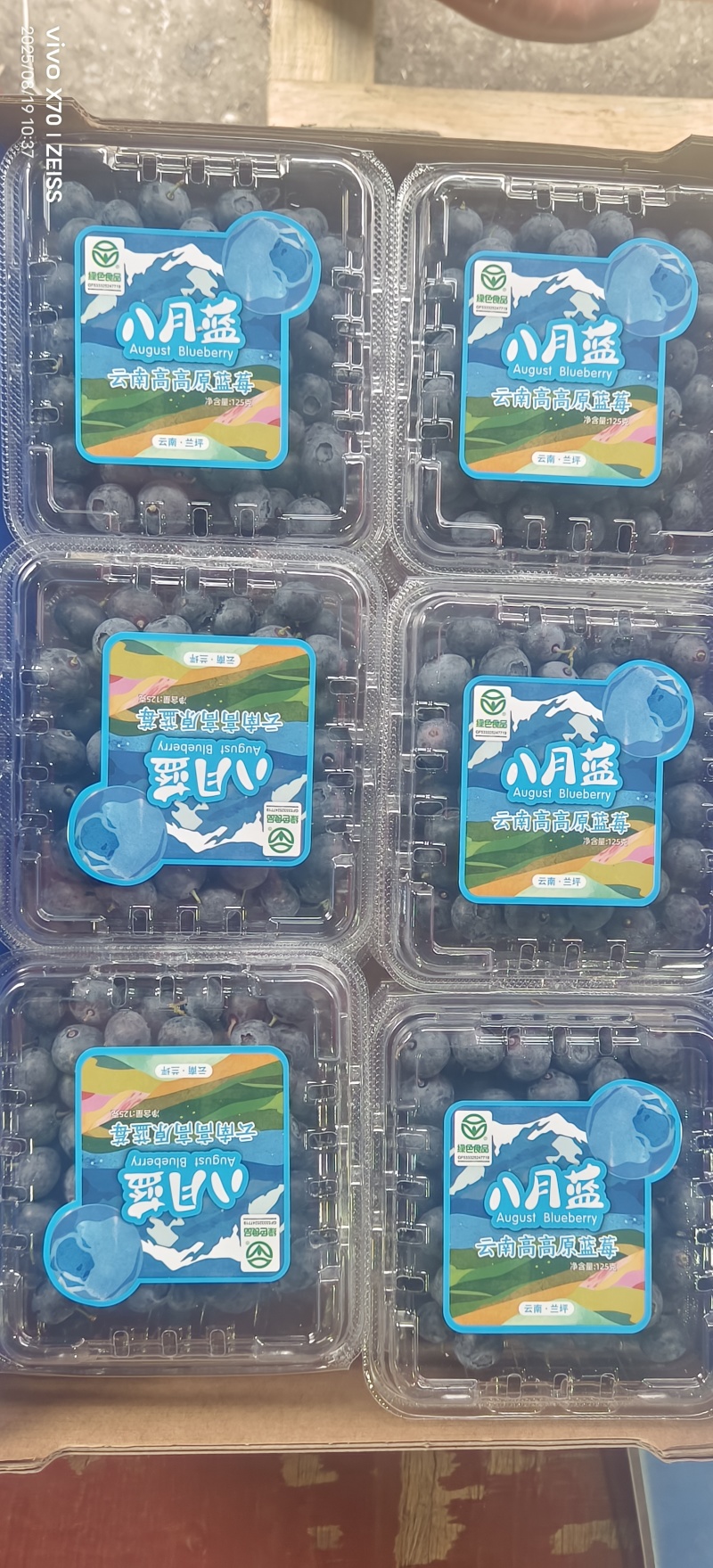 云南高原蓝莓125g/盒一件12盒