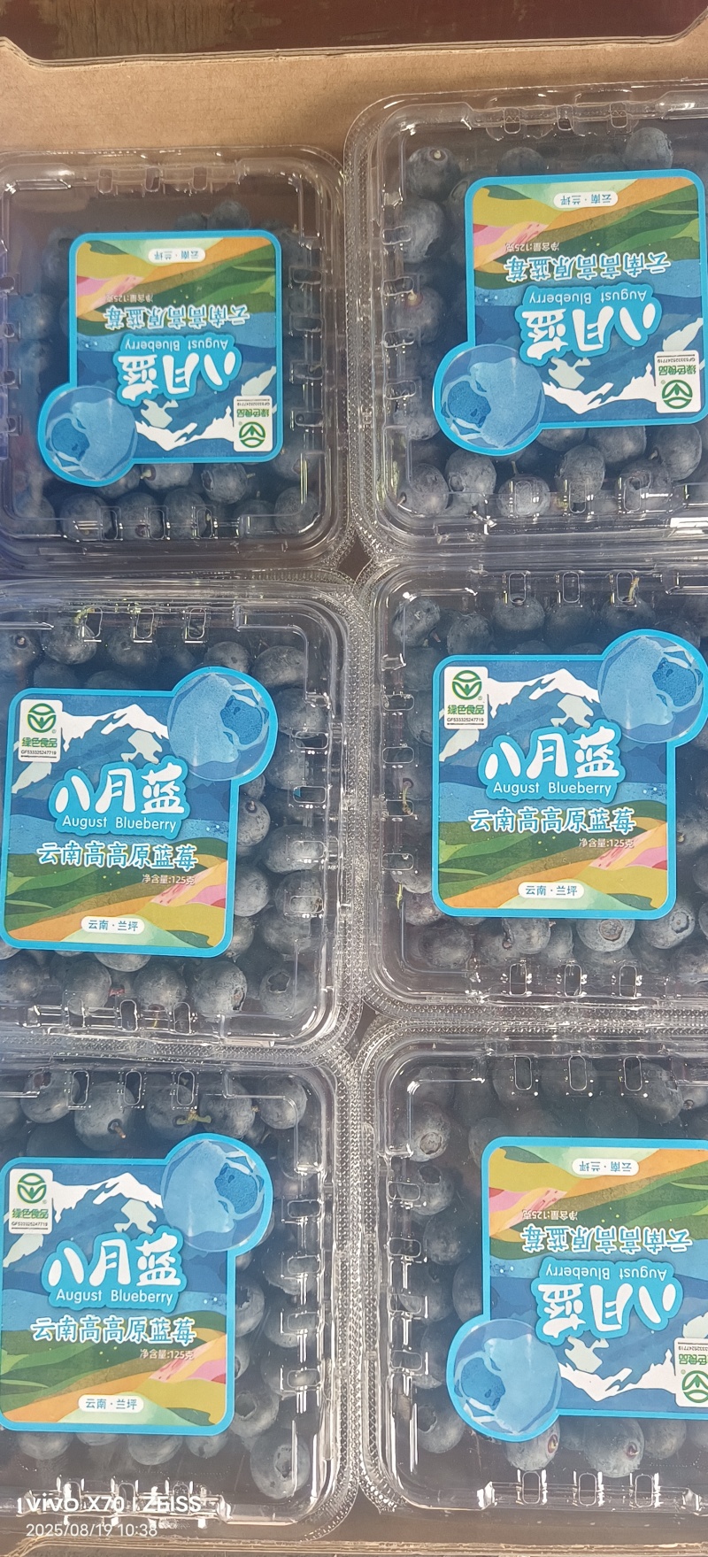 云南高原蓝莓125g/盒一件12盒