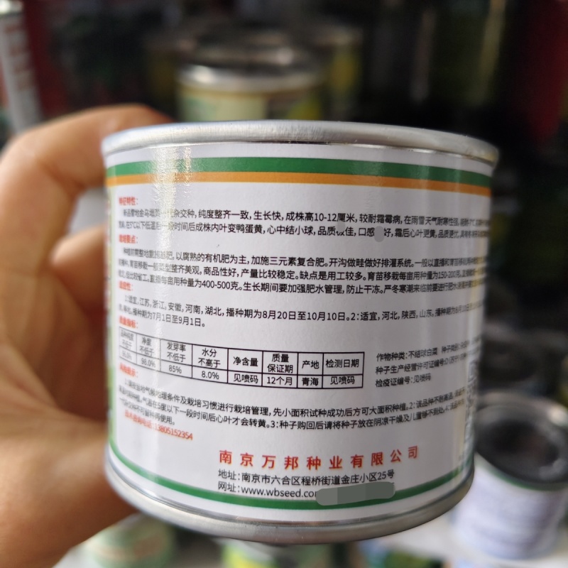 新品雪地金黄心乌种子一代杂交黄心乌塌菜种子耐寒黄心菜种