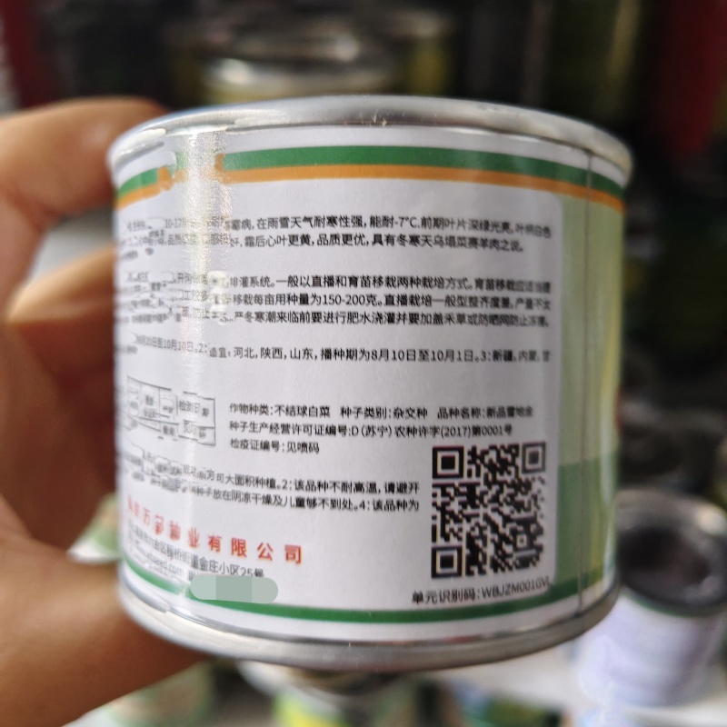 新品雪地金黄心乌种子一代杂交黄心乌塌菜种子耐寒黄心菜种