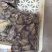 真鱿阿鱿小耳