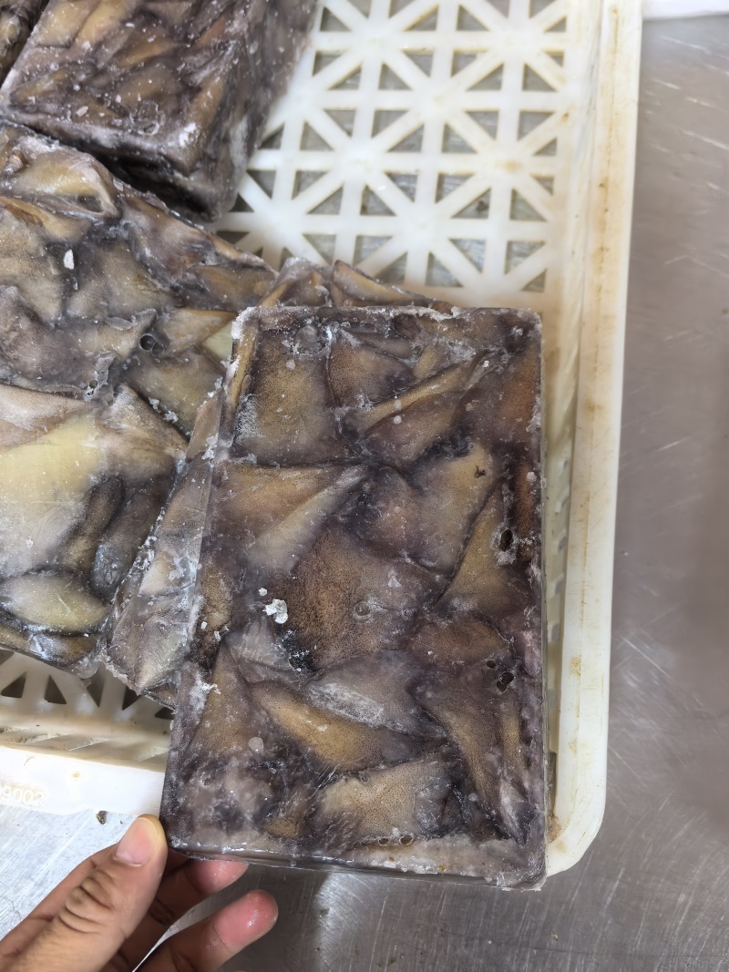 真鱿阿鱿小耳
