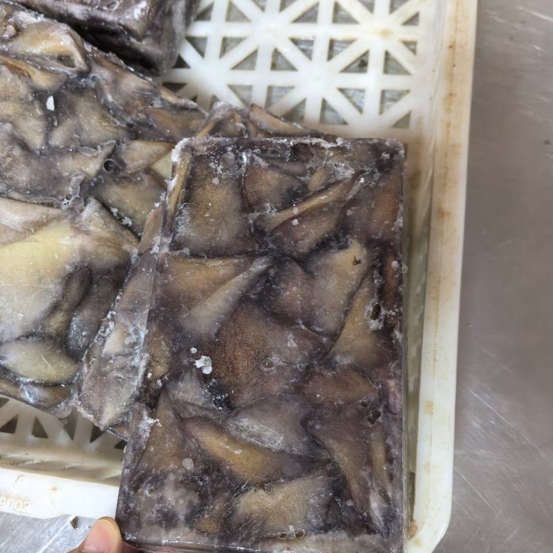 真鱿阿鱿小耳