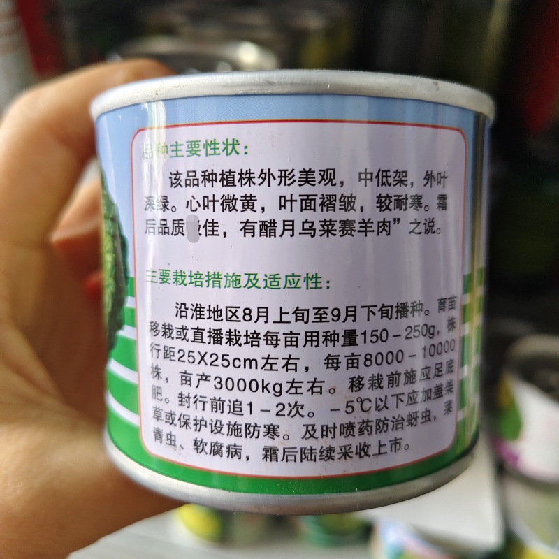 乌塌菜8号耐寒黄心乌种子特矮棵基地专用黄心乌塌菜种子