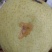 雪花梨罐头果