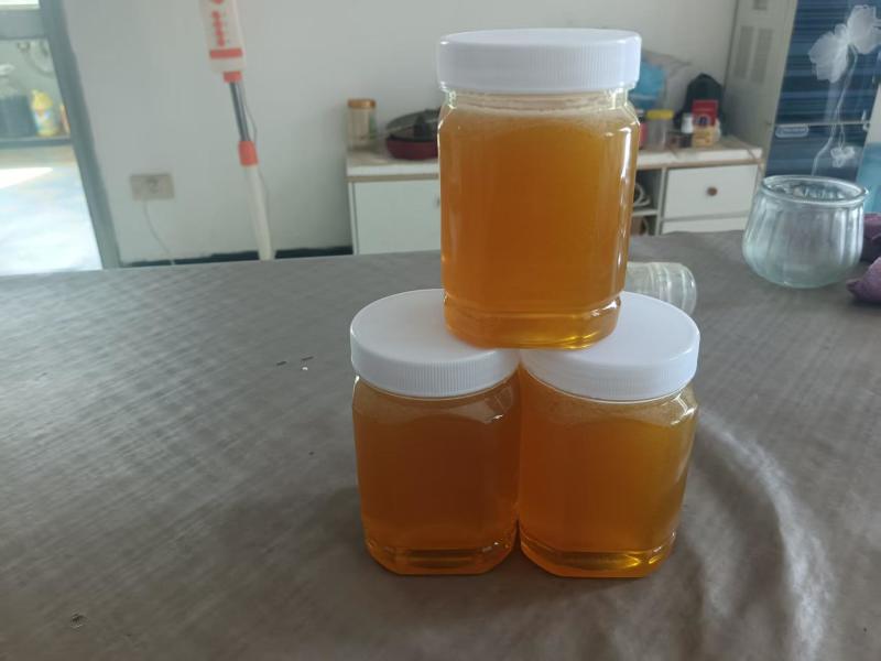 贵州大山出品