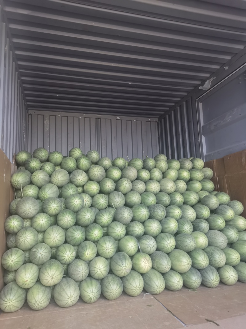 【推荐】晓蜜25哈密瓜，电商赶集货大量现货！