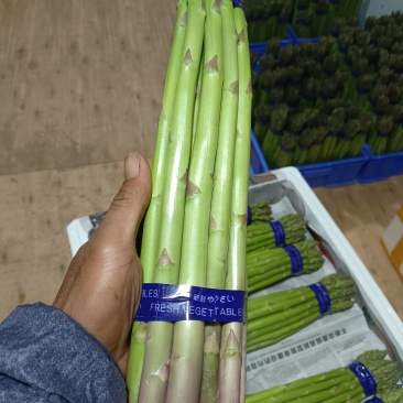云南楚雄高原精品绿芦笋
