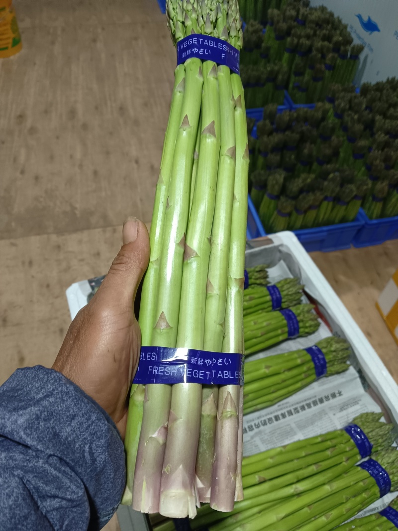 云南楚雄高原精品绿芦笋