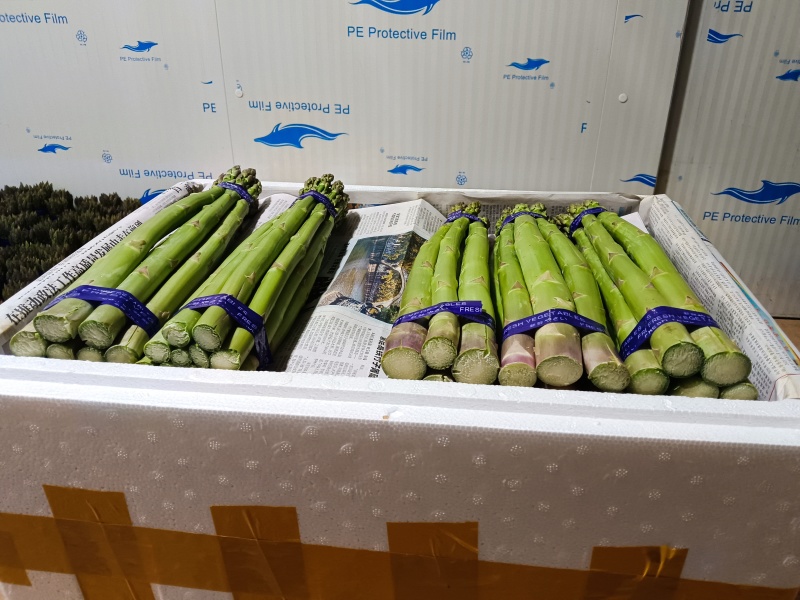 云南楚雄高原精品绿芦笋