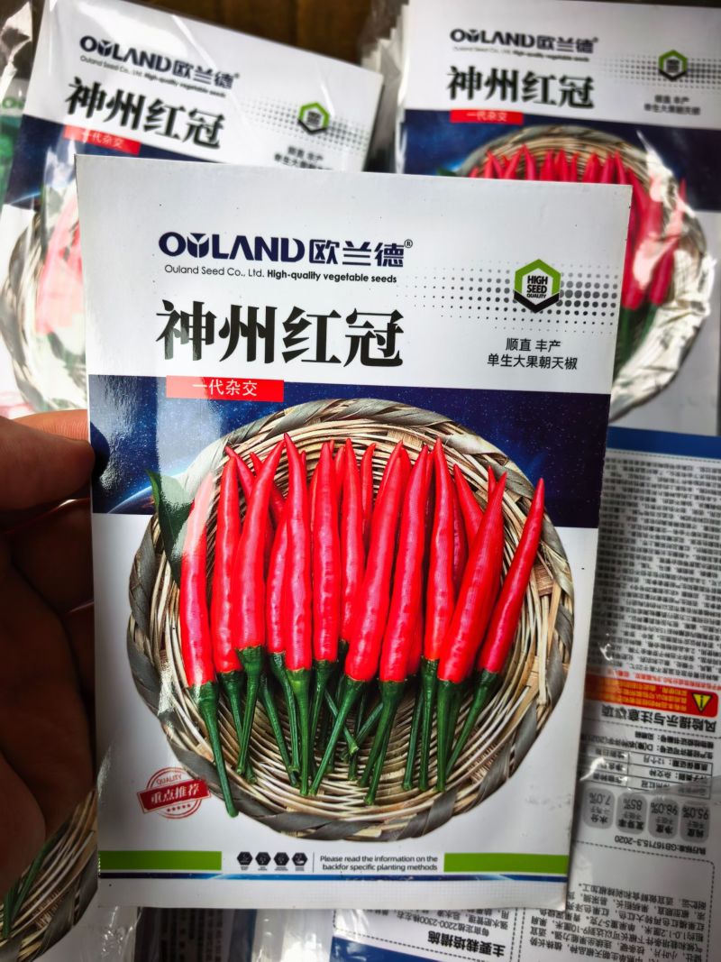 单生大果朝天椒种子欧兰德神州红冠薄皮青红剁椒小米辣椒种子
