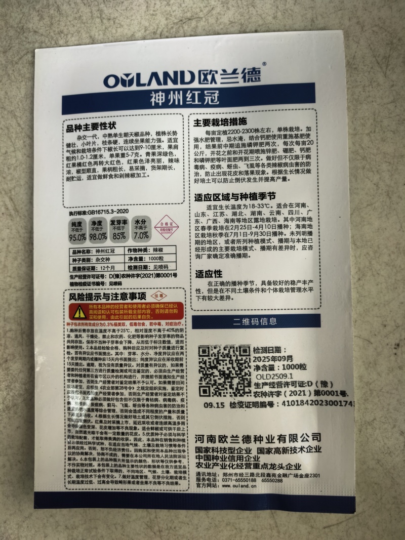单生大果朝天椒种子欧兰德神州红冠薄皮青红剁椒小米辣椒种子