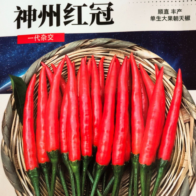 单生大果朝天椒种子欧兰德神州红冠薄皮青红剁椒小米辣椒种子