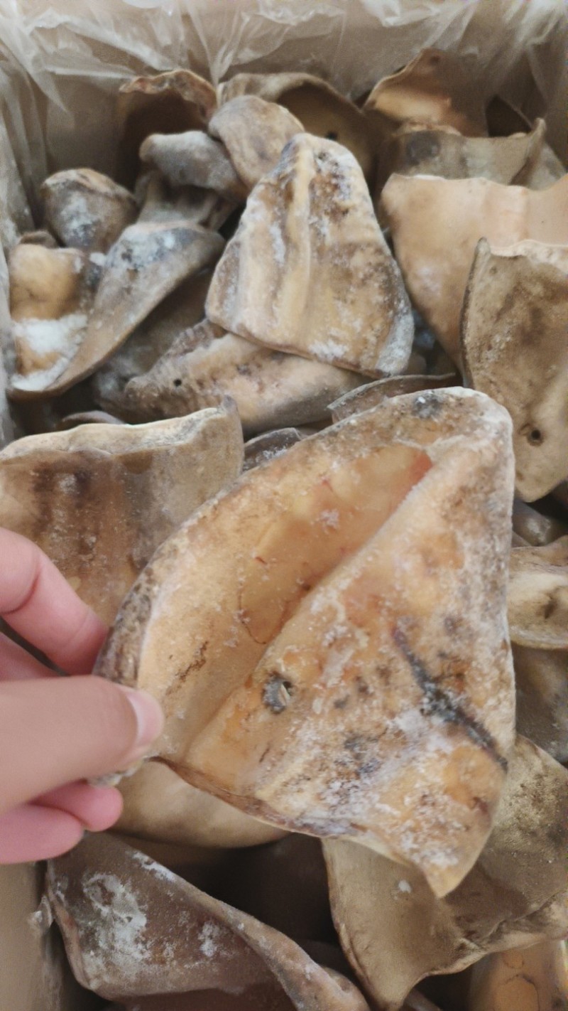火烧毛耳片
