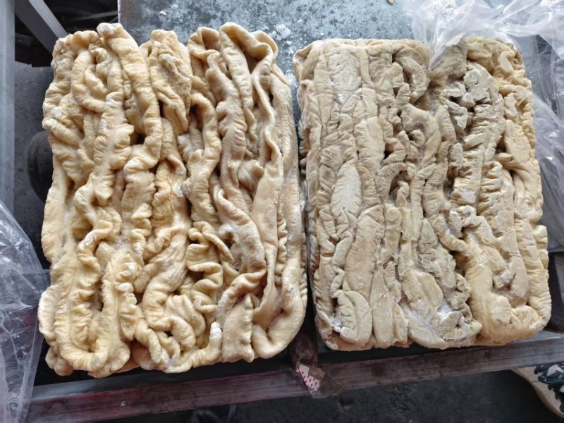 猪大肠厂家直销量大从优
