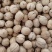 新货185纸皮核桃，厂家直供真实报价一手货源可全国发货
