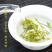 浙江龙井茶2025新茶绿黄版豆香型浓郁龙井绿茶大量批发