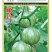 南瓜种子嫩铃-M003早熟花皮嫩南瓜颜色靓花纹美