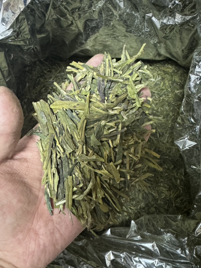浙江龙井茶2025新茶绿黄版豆香型浓郁龙井绿茶大量批发