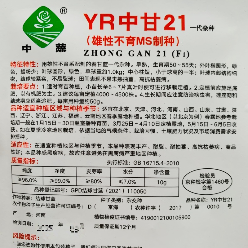 中蔬甘蓝种子YR中甘21早熟春甘蓝种子包菜圆球甘蓝种籽
