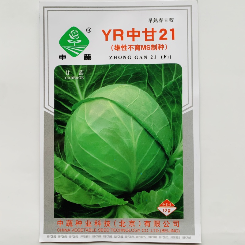 中蔬甘蓝种子YR中甘21早熟春甘蓝种子包菜圆球甘蓝种籽