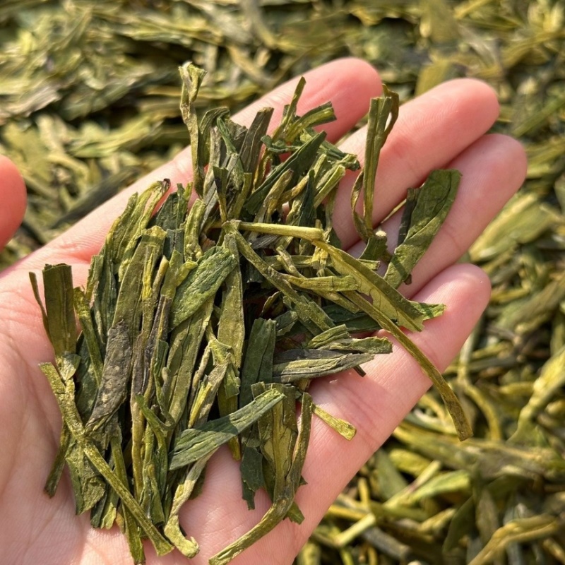 浙江龙井茶2025新茶绿黄版豆香型浓郁龙井绿茶大量批发