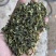 山东日照绿茶2025新茶绿茶茶头板栗香便宜茶叶商用