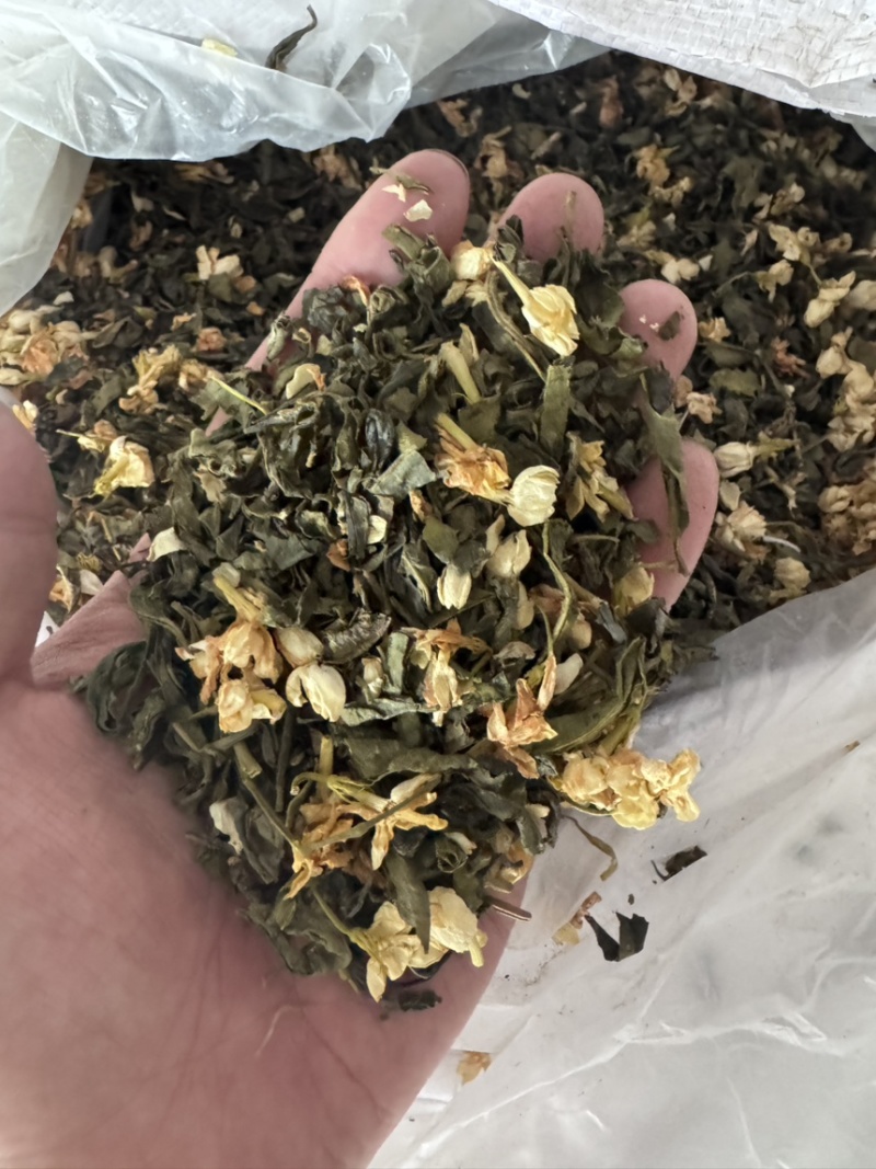 茉莉花茶茉莉绿茶2025新茶浓香型商业用茶低档便宜茶叶
