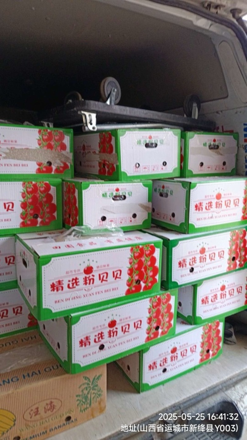 贝贝系列圣女果