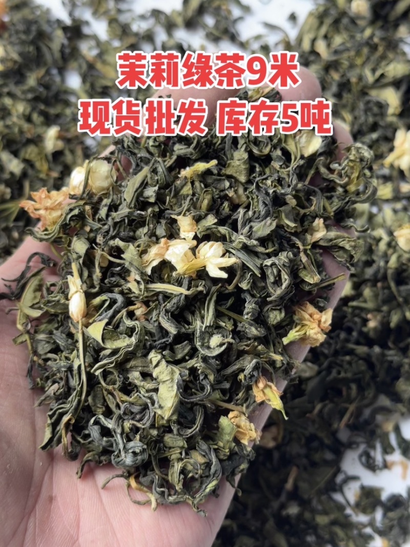 广西横县正宗茉莉花茶2025新茶浓香型批发绿茶奶茶原料